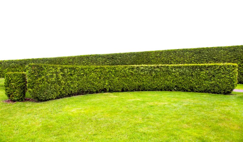 Hedge Landscaping