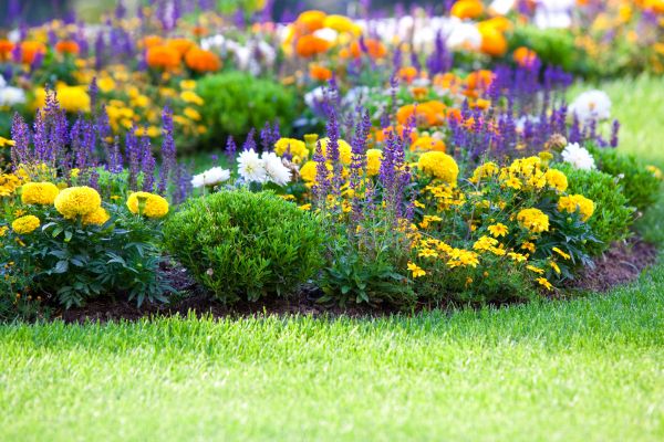 Flower Bed Maintenance in Coeur D Alene
