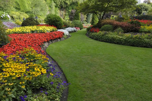 Landscaping Maintenance in Coeur D Alene