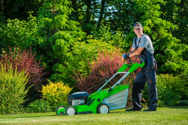 Lawn Maintenance And Mowing