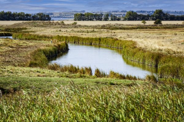 Swale Landscaping in Coeur D Alene