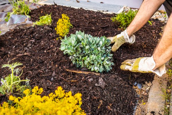 Weeding And Mulching in Coeur D Alene