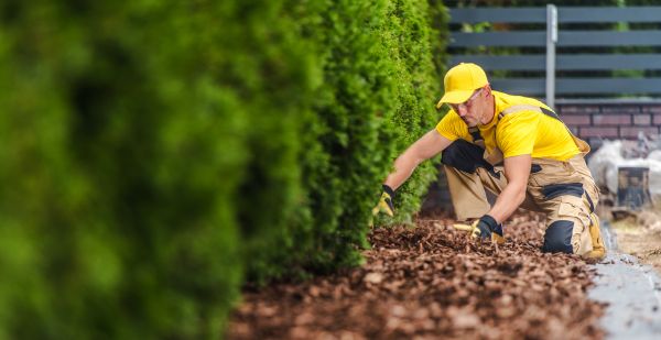Cypress Mulch Installation in Coeur D Alene