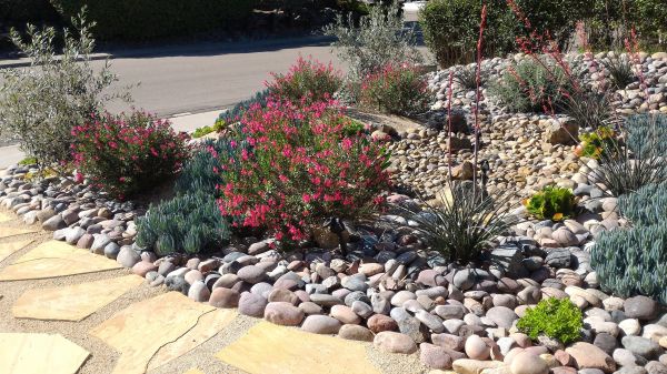 Xeriscape Landscaping in Coeur D Alene