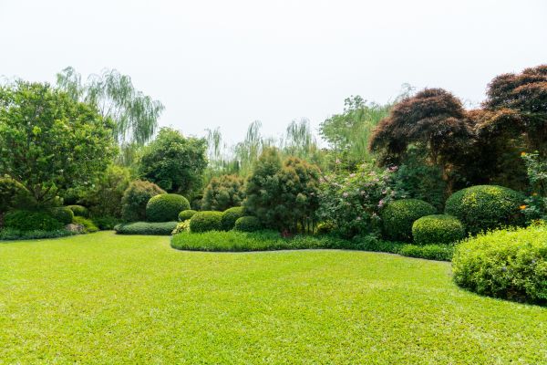 Tree Landscaping in Coeur D Alene