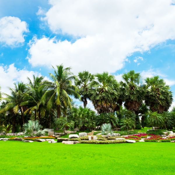 Tropical Landscaping in Coeur D Alene