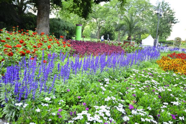 Perennials Planting in Coeur D Alene