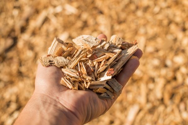 Wood Chips Spreading in Coeur D Alene