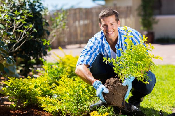 Shrub Landscaping in Coeur D Alene