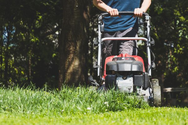 Garden Trimming Service in Coeur D Alene