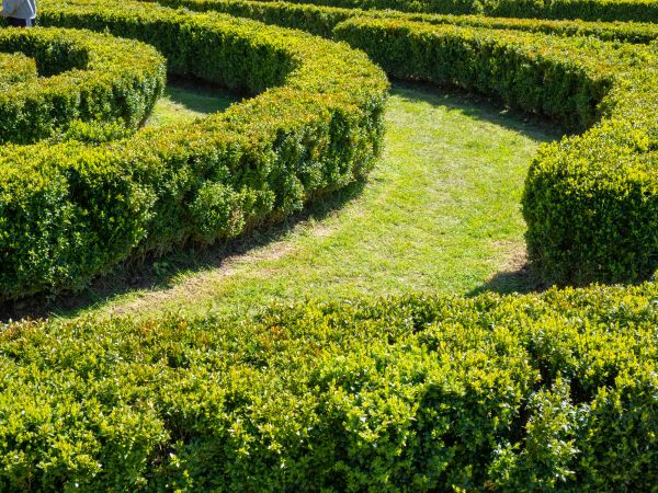 Bush Landscaping in Coeur D Alene