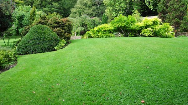 Commercial Landscape Design in Coeur D Alene