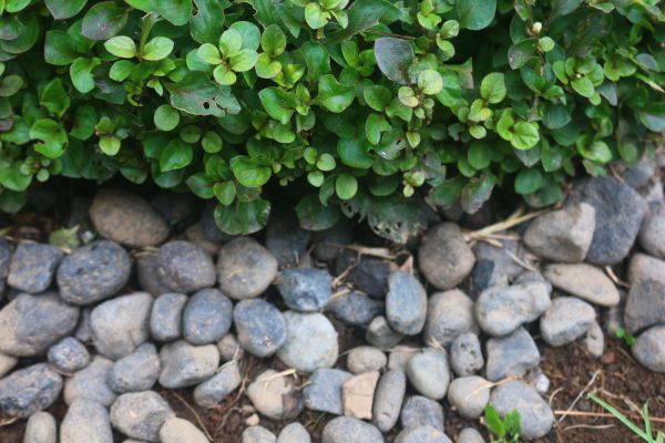 River Stone Installation in Coeur D Alene