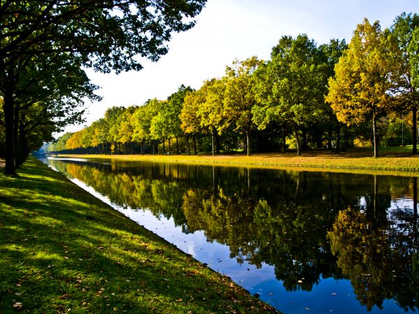 Bank Landscaping in Coeur D Alene