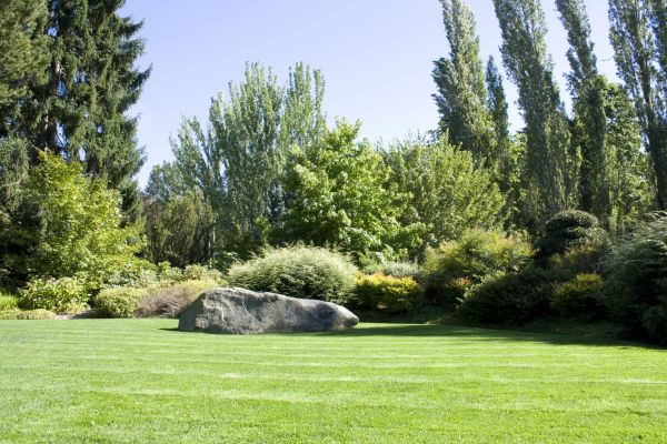 Yard Enlargement in Coeur D Alene