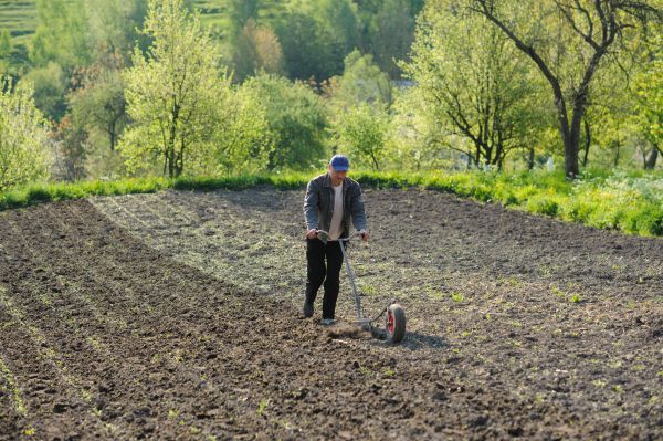 Plant Bed Weeding in Coeur D Alene