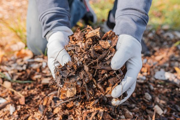 Shredded Mulch Installation in Coeur D Alene