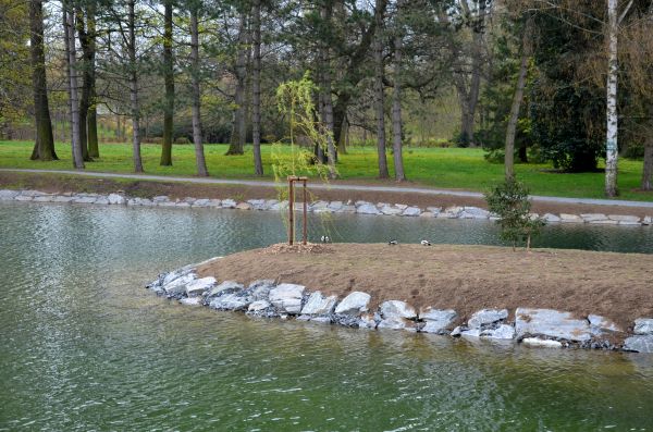 Pond Landscaping Service in Coeur D Alene