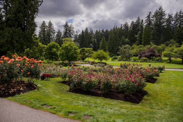 Flower Garden Landscaping in Coeur D Alene