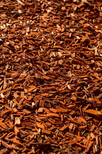 Cedar Mulch Spreading in Coeur D Alene